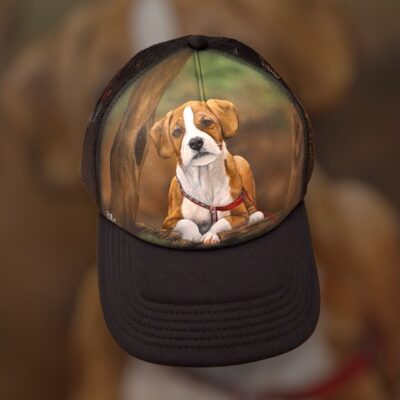 Dog Pet Hat